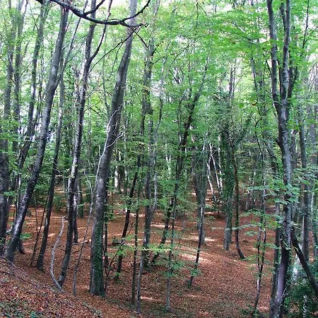 El Xalio