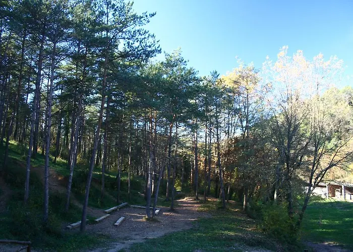 旅馆 艾莱卡萨里尔旅舍 *